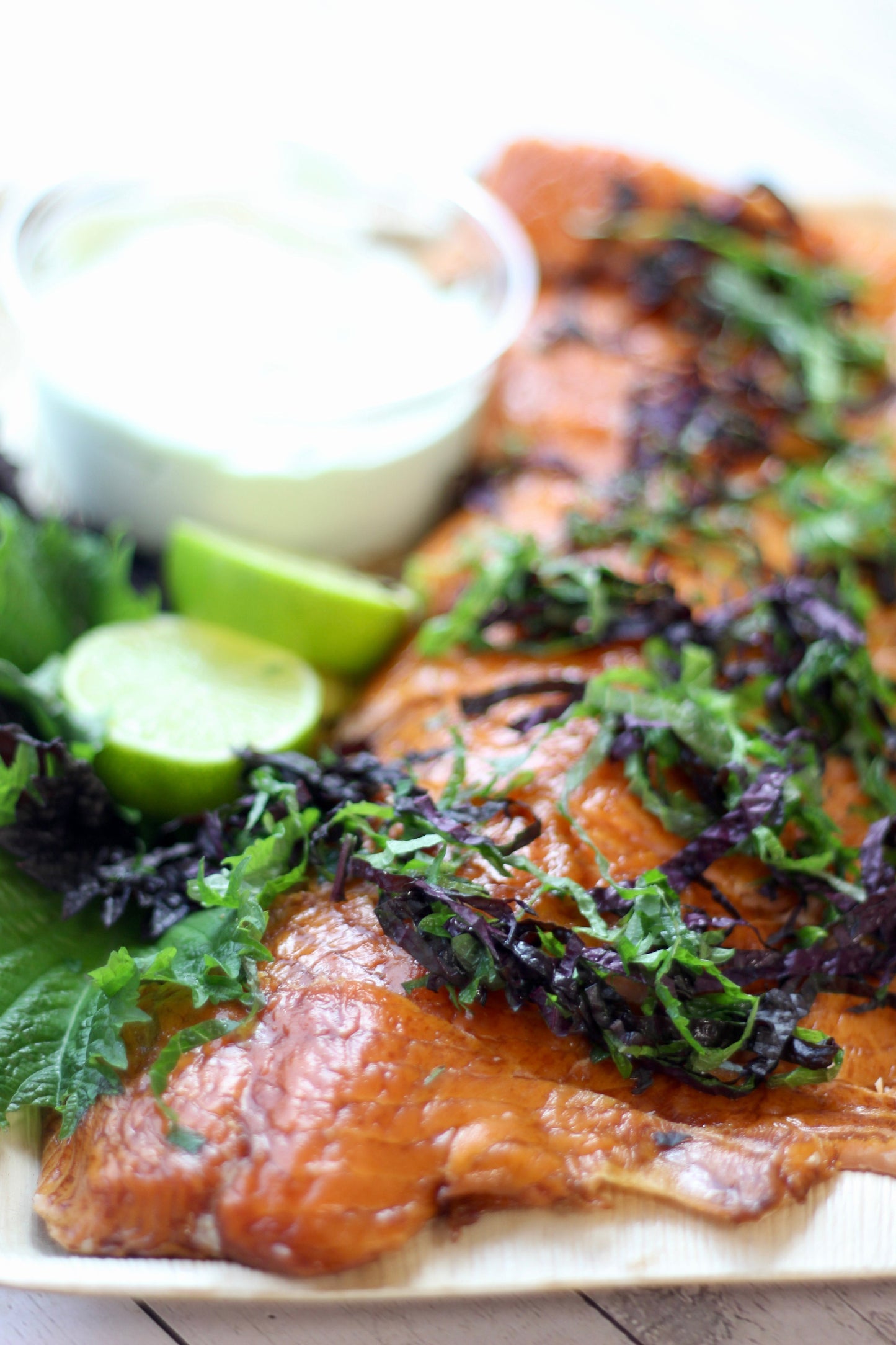 Satay Chicken & Wasabi Salmon