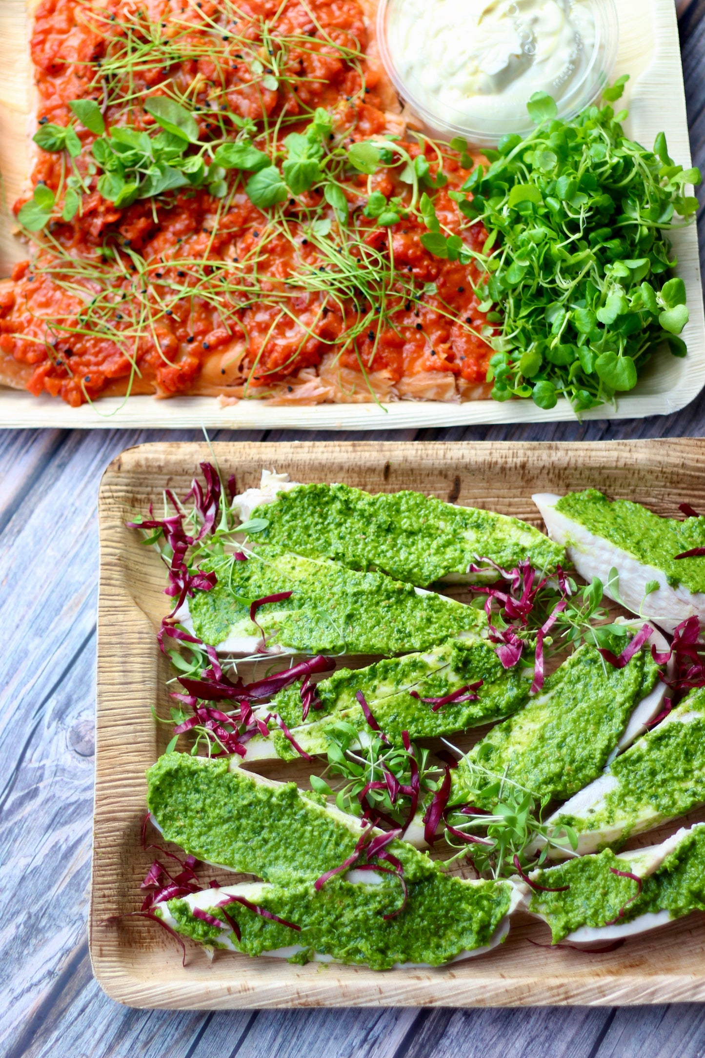 Pesto Chicken & Marinara Salmon